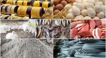 خريطة الأسعار اليوم: استقرار الدواجن والحديد وصعود الذهب